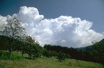 Obrázek 5.12: Cumulus congestus