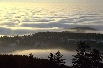 Obrázek 4.4: Stratocumulus undulatus